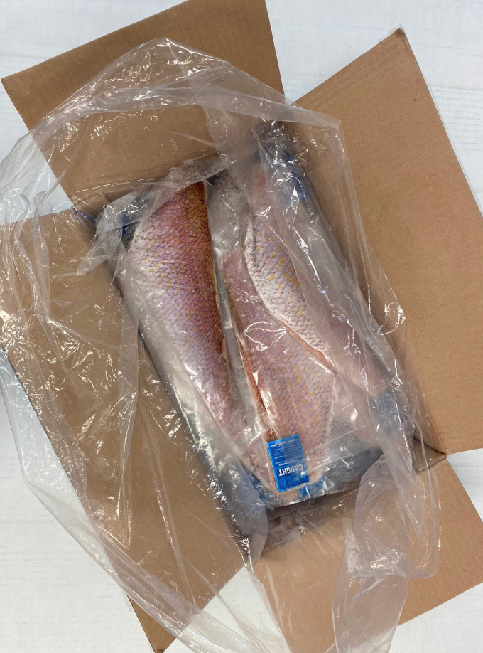 José Santiago Home Delivery. RED SNAPPER FILETS 10-12OZ PACKER LABEL